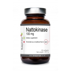 Nattokinase 100 mg, 60 softgels - dietary supplement
