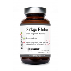 Ginkgo Biloba Ginkgoselect® Phytosome®, 60 capsules – dietary supplement