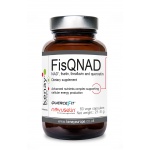 FisQNAD NAD+ , fisetin, theaflavin and quercetin, 60 capsules – dietary supplement
