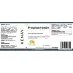 Phosphatidylcholine, 60 softgels – dietary supplement 