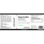 Spermidin aus Chlorella 180 Kapseln vegan Nahrungsergänzungsmittel KENAY®