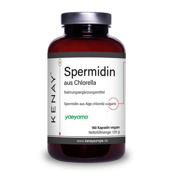 Spermidin aus Chlorella 180 Kapseln vegan Nahrungsergänzungsmittel KENAY®