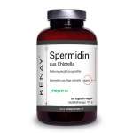 Spermidin aus Chlorella 180 Kapseln vegan Nahrungsergänzungsmittel KENAY®