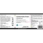 Liposomales Eisen  LipoCellTech™