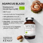 Agaricus blazei Brazilian Mushroom (60 vegan capsules) – KENAY® - dietary supplement