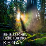 Agaricus blazei Brazilian Mushroom (60 vegan capsules) – KENAY® - dietary supplement