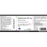 Nattokinase 100 mg, 60 softgels - dietary supplement