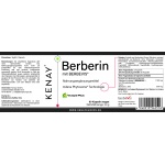   Berberine with Berbevis® (Dietary Supplement) – 60 Capsules - KENAY®