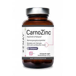  CarnoZinc – PepZinGI® & Pylopass™ (Dietary Supplement) – 60 Capsules KENAY®