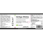 Ginkgo Biloba Ginkgoselect® Phytosome®, 60 capsules – dietary supplement