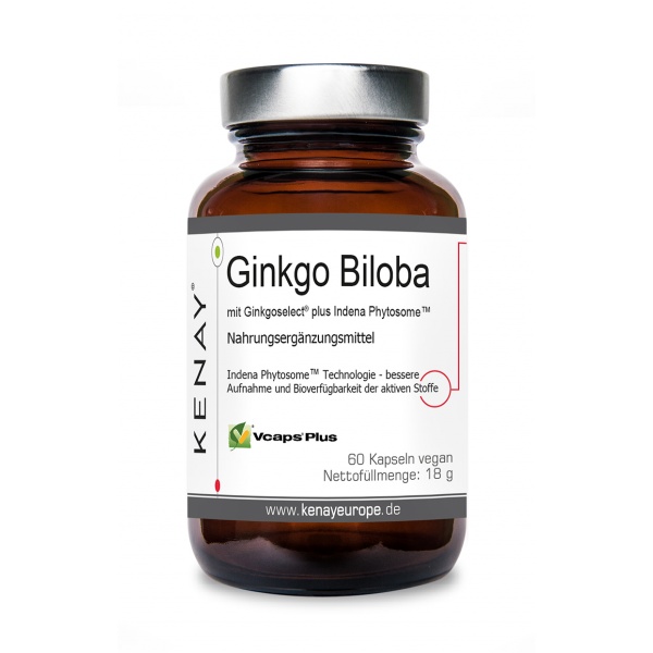 Ginkgo Biloba Ginkgoselect® Phytosome®, 60 capsules – dietary supplement