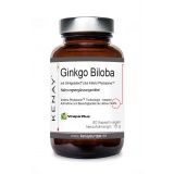 Ginkgo Biloba Ginkgoselect® Phytosome®, 60 capsules – dietary supplement