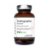 Andrographis ParActin®, 60 vege capsules – dietary supplement