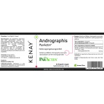 Andrographis ParActin®, 60 vege capsules – dietary supplement