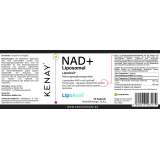 NAD+ Liposomal LipoAvail® 60 Kapseln | Nahrungsergänzungsmittel | KENAY®